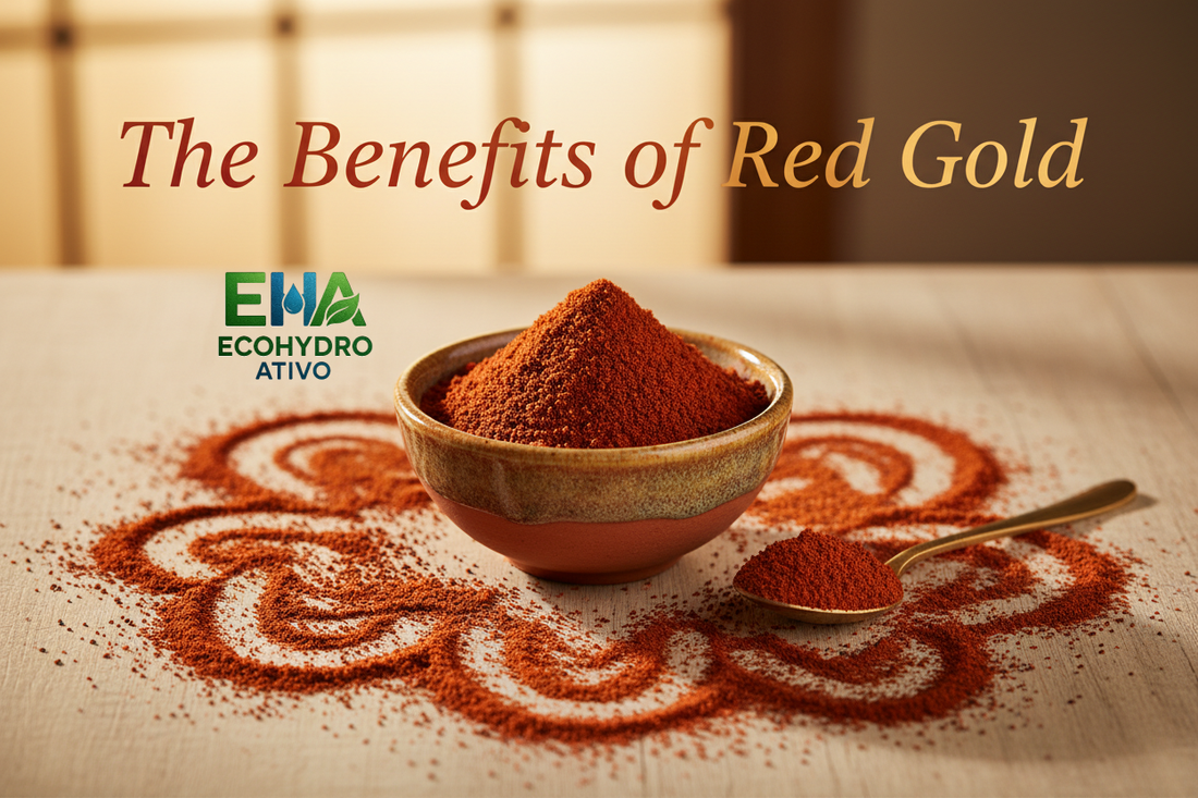 Red Yellow Mustard Powder: a zesty, healthy boost for your meals and drinks - EcoHydro Ativo - Portugal