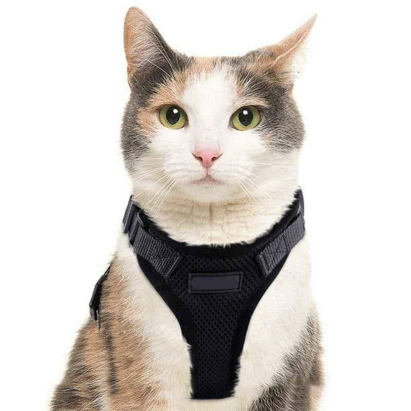 Coleira para passear com gatos PawProwl