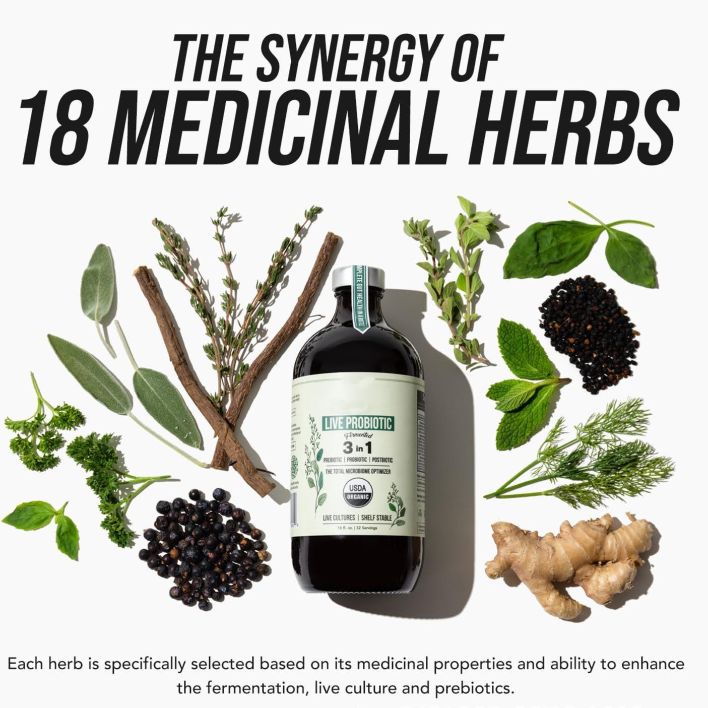 Suplemento probiótico ativo - Active Probiotics Supplement - EcoHydro Ativo - Portugal