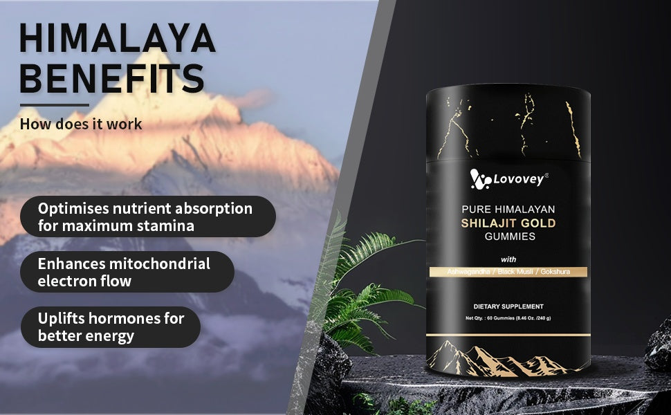 Gomas Xilaizhi 60 Cápsulas - Suplemento Natural para Saúde e Bem-Estar