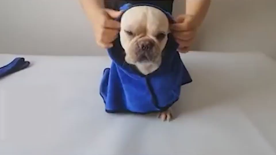 Vintage Dog Bathrobe